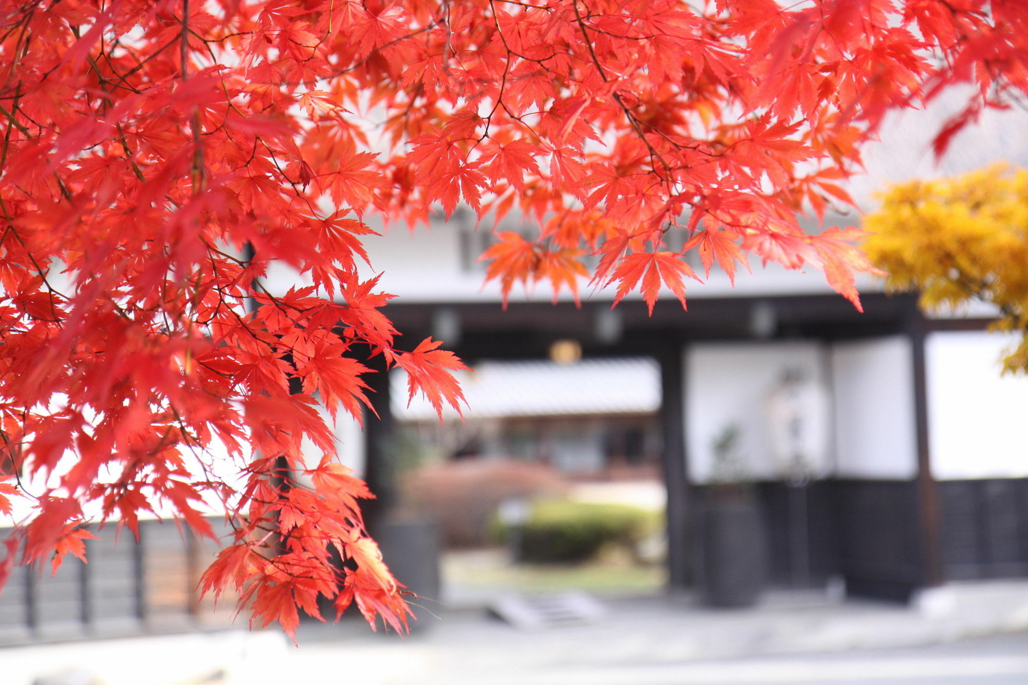 ホテル Suwakonomori Shikitei 諏訪市 エクステリア 写真